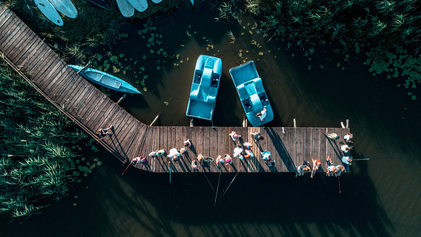 zielone szkoły na farmie kalinie zachodniopomorskie