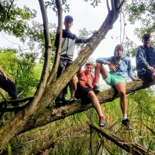 IMG 20250811 WA0012 (1) (1)